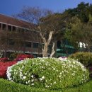 대전과학기술대학교 이미지