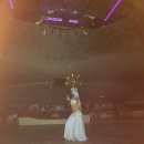 밸리댄스 이미지