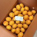 유현농장 이미지