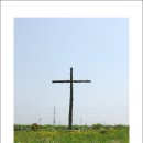 지혜의 샘 이미지