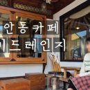 월영채 이미지