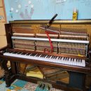 김해구지초등학교 이미지