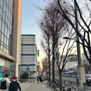 남도사 | <지리산약명도사> 서울 용산구 남영동에서 신점보고 온 후기