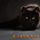 샴