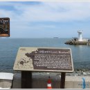 대항새바지 이미지