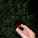 답십리한의원 이미지