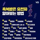 레푸스&아트포레 이미지