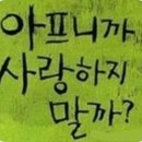 이미지모드 이미지