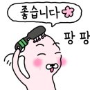 여주동물병원 이미지