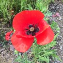 대산119지역대 이미지