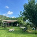 삼형제농장 이미지