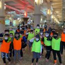 용인대 금강 태권도장 이미지