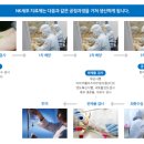 에스엠티 네이버블로그