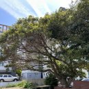 안순네밥집 이미지