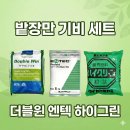 더블윈