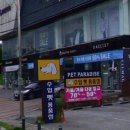 댕댕카 이미지