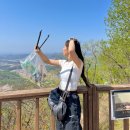 박달산 | 파주 박달산 등산코스 및 주차, 강아지와 함께 플로깅