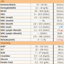 신대동물병원 이미지