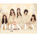 카라 - Honey (2009) 이미지