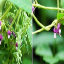 무릉회관 이미지