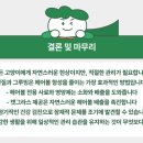 미유펫 동물병원 이미지