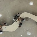 본래순대 함양상림점 | 여름 가족여행|여수 케이블카, 모이핀, 순천, 함양 상림공원