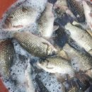 토종건강원 이미지