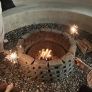 스테이 수림 이미지