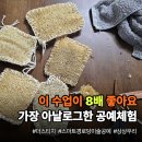 신성경로당 | [공지] “이 수업이 8배는 더 좋아요”