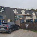 발바닥애견카페 이미지