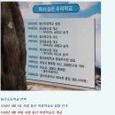 돌산초등학교 이미지