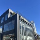 온천천시민공원 백일홍 | 온천천 맛집 <부바스 온천천점> 안락동 파스타랑 피자, 브런치 둘다 잘하는 핫플