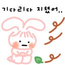 배가네묵은지감자탕 - 청주시 흥덕구 월명로178번길 52 | 배가네묵은지감자탕