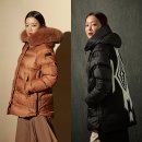 주식회사 알케이드코리아