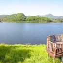 국사봉 전망대 이미지