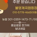 뇌조2리 마을회관 | 불영계곡 캠핑장 후기｜계곡 물놀이부터 진복리 해수욕장까지｜울진 여름휴가지 추천!