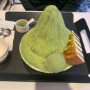 [제주디저트] 제주시청 빙수맛집 앨리스, 녹차오름빙수 내돈내산 추천후기
