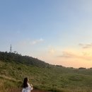 목장풍경민박 | 제주 금오름 일몰 명소 아이랑 후기. 금오름 난이도 주차 팁 일몰시간
