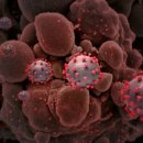 씨에스메디케어 이미지