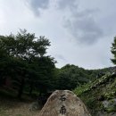 동민농장(1) 네이버블로그