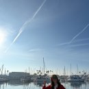 탁씨네민박 | [신혼여행 일지] Day 1 - LA 시내 여행 (베니스 비치 / 베버리힐스 / 그레이스톤 맨션 / 할리우드 사인...