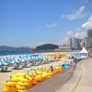 아기자기 - 청주시 서원구 | 아기자기