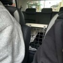 롯데마트 안성점 쿨펫 이미지