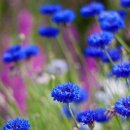 안녕노을 이미지