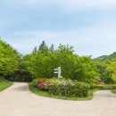 아라메길(1-1) 이미지