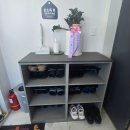 냥이의하루 카페.분양 이미지