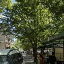 옥룡 포석정 이미지