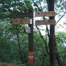 용항길 Daum카페