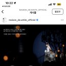 [W.5] 메종드화이트 본식 스냅+DVD 계약 후기(짝꿍구해요!)