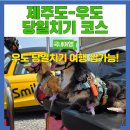 우도항 대합실 도로변 | 제주도에서 우도가는 방법 우도 당일치기 코스 강아지 동반 상세 후기